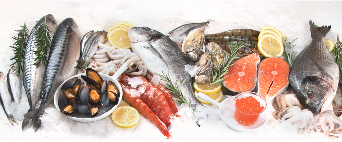 a buffet of fish and seafood of various types lined up on a white surface