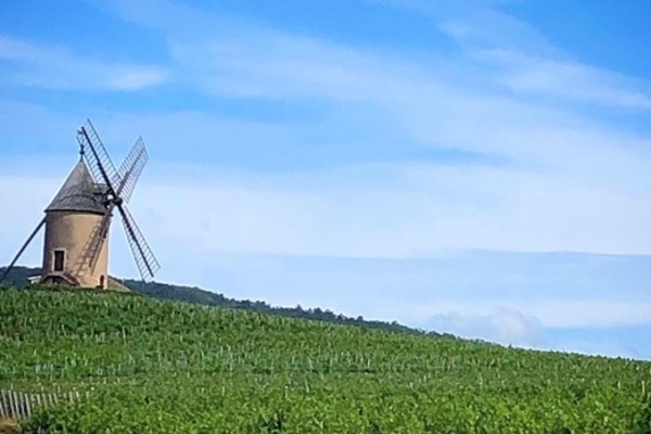 The famous wind mill in Beaujolais, Moulin et Vent