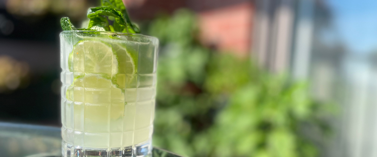 A clear glass tumbler filled with light green mojito cocktail and ice with a large sprig of mint against a herb garden in the sun