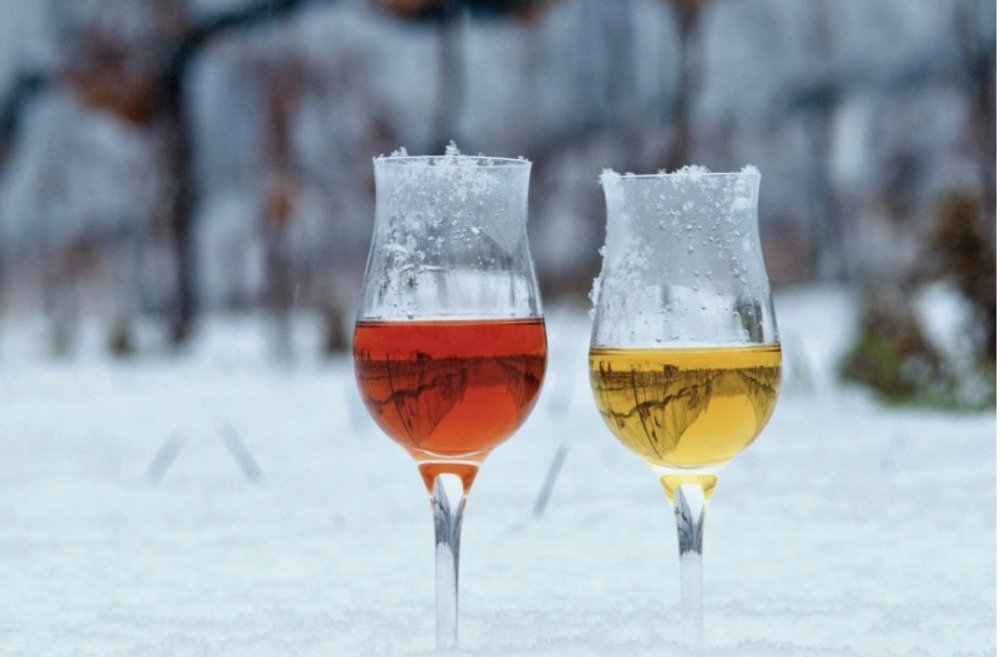 A glass of red Icewine and white Icewine in a snowy vineyard with ice around the rim of each glass