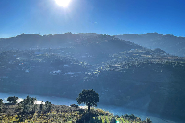 View from the top of a hill overlooking rolling green vineyards and the Douro River with misty foothills in the distance and a bright sun